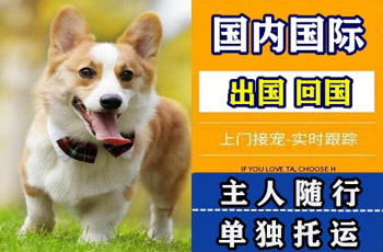 海南州宠物托运公司海南州宠物托运公司海南州宠物托运公司