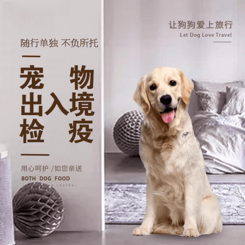 海南州宠物托运到哥伦比亚猫狗宠物入境规定和