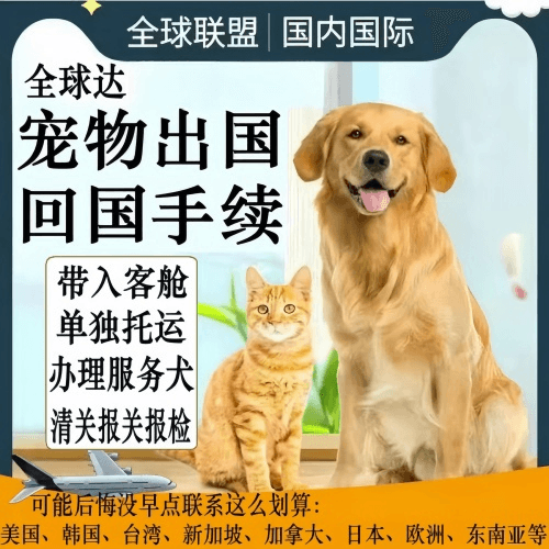 海南州宠物托运到柬埔寨宠物入境规定和要求