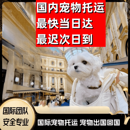 海南州到澳大利亚（澳洲）宠物入境规定和要求