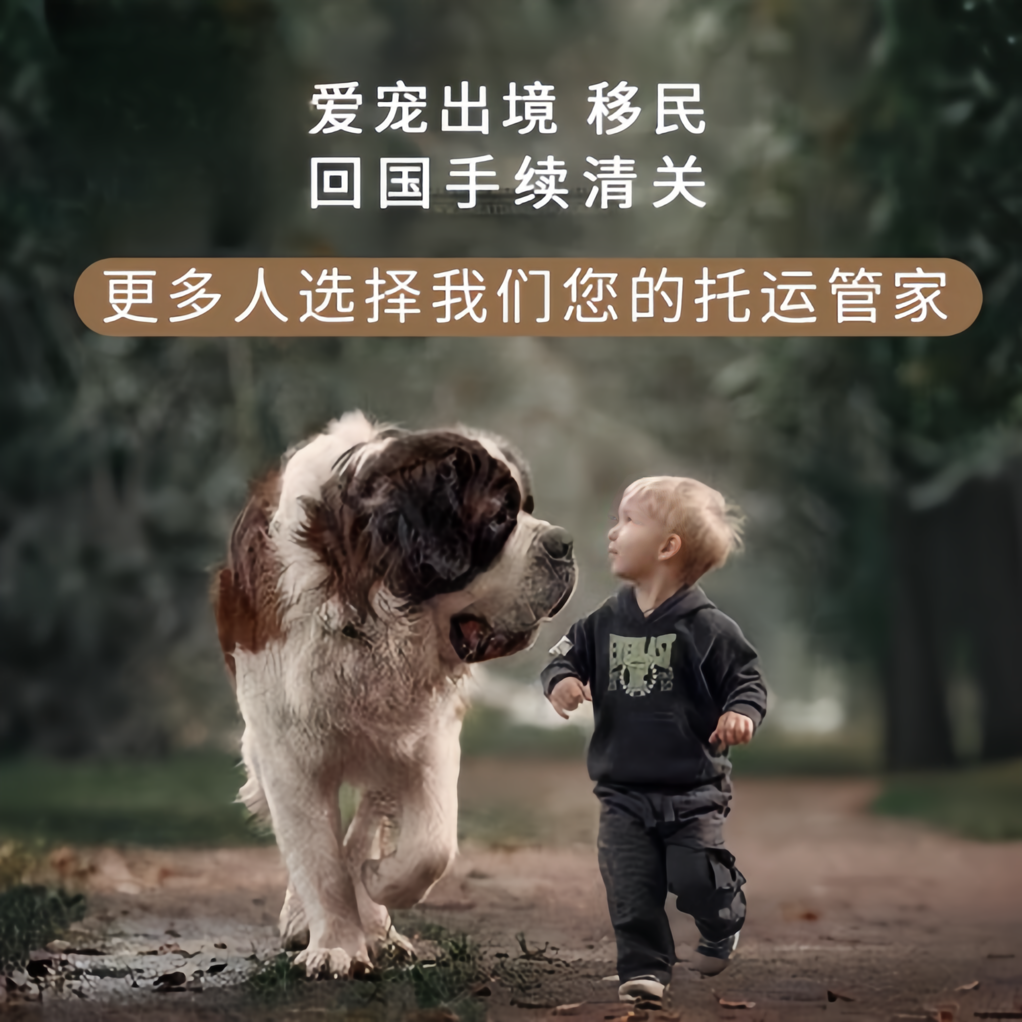 满财海南州宠物全球达宠物托运在遵守入境目的地政策的条件