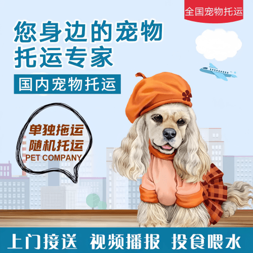 满财海南州宠物全球达宠物托运作为专业的宠物运输代理机构